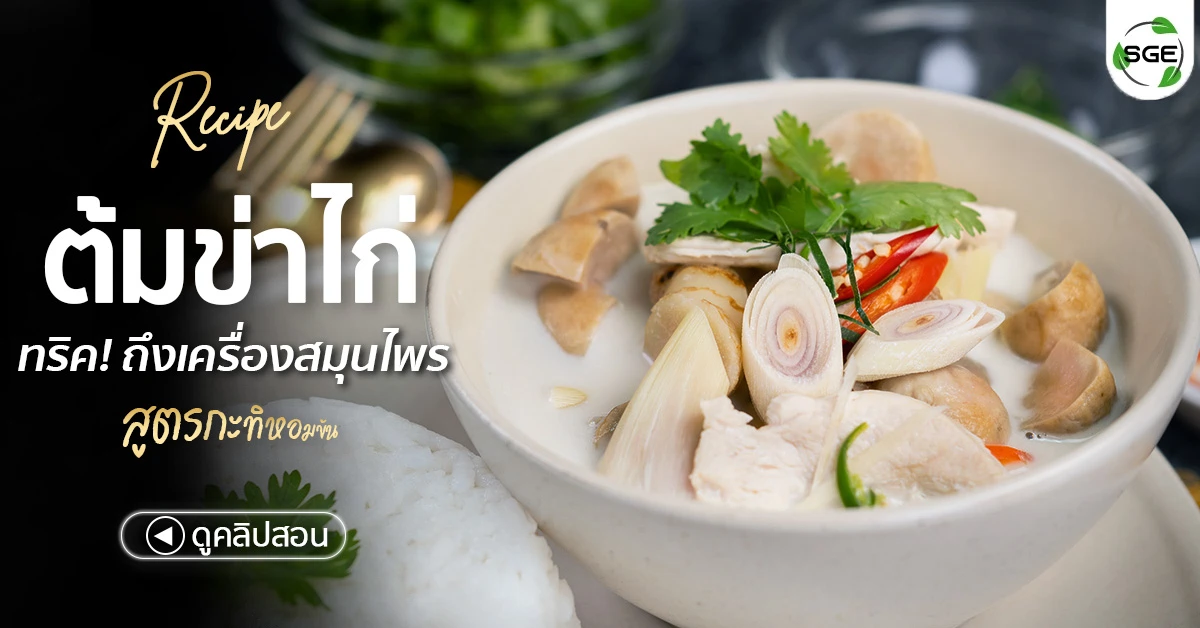 วิธีทำ ต้มข่าไก่ สูตรกะทิหอมข้น ถึงเครื่องสมุนไพร