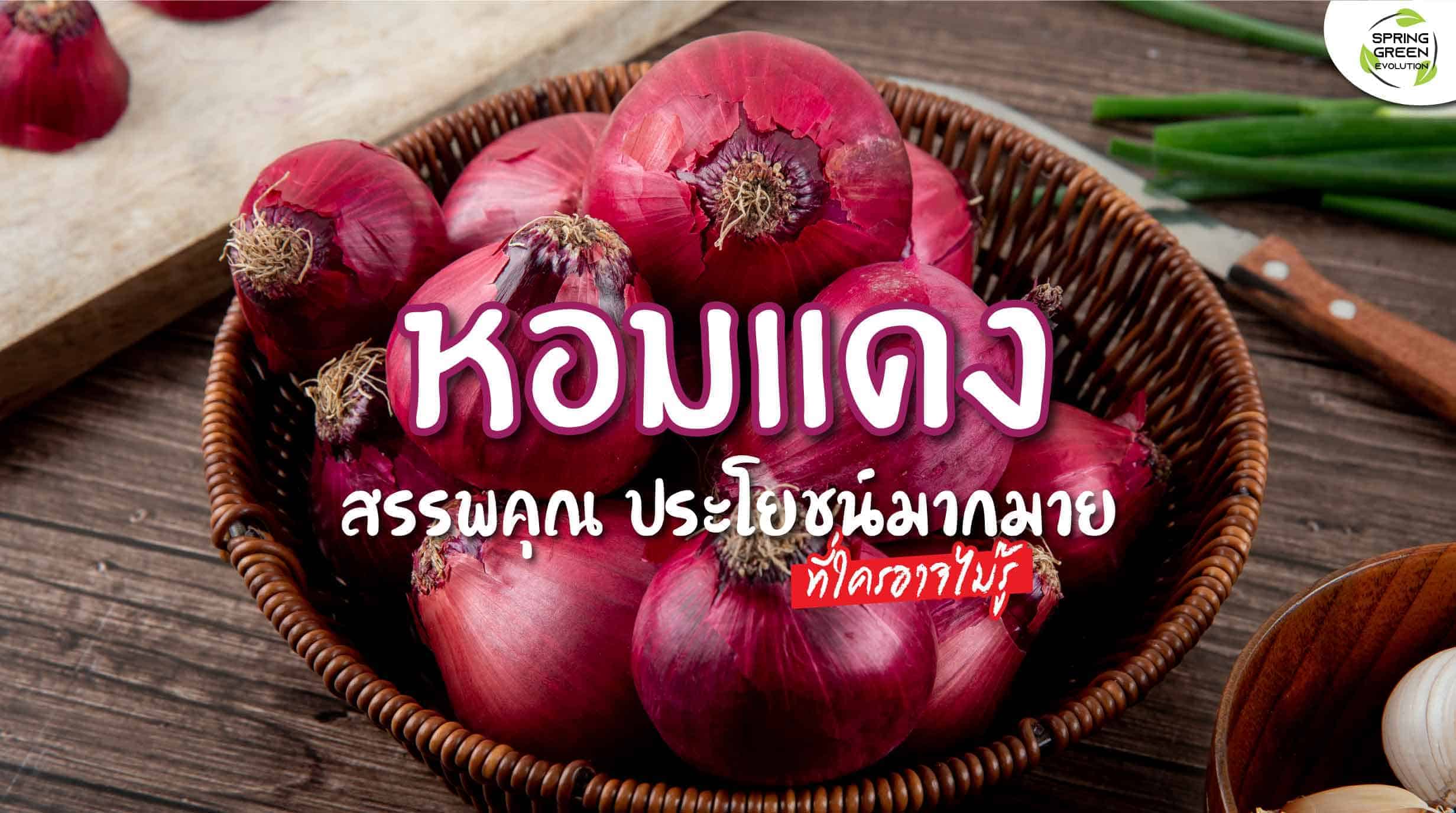 รู้จัก หอมแดง สมุนไพรคู่ครัว ปลูกง่าย ประโยชน์เยอะ - SGETHAI รู้จัก หอมแดง สมุนไพรคู่ครัว ปลูกง่าย ประโยชน์เยอะ - Sgethai