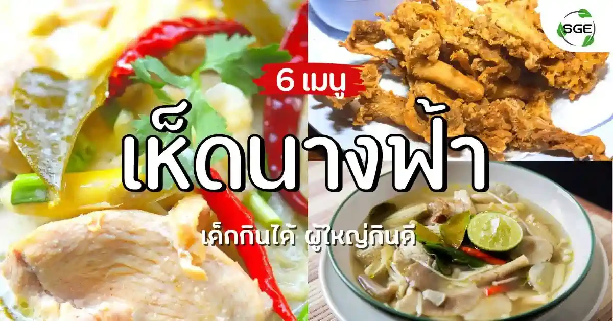 เห็ดนางฟ้า