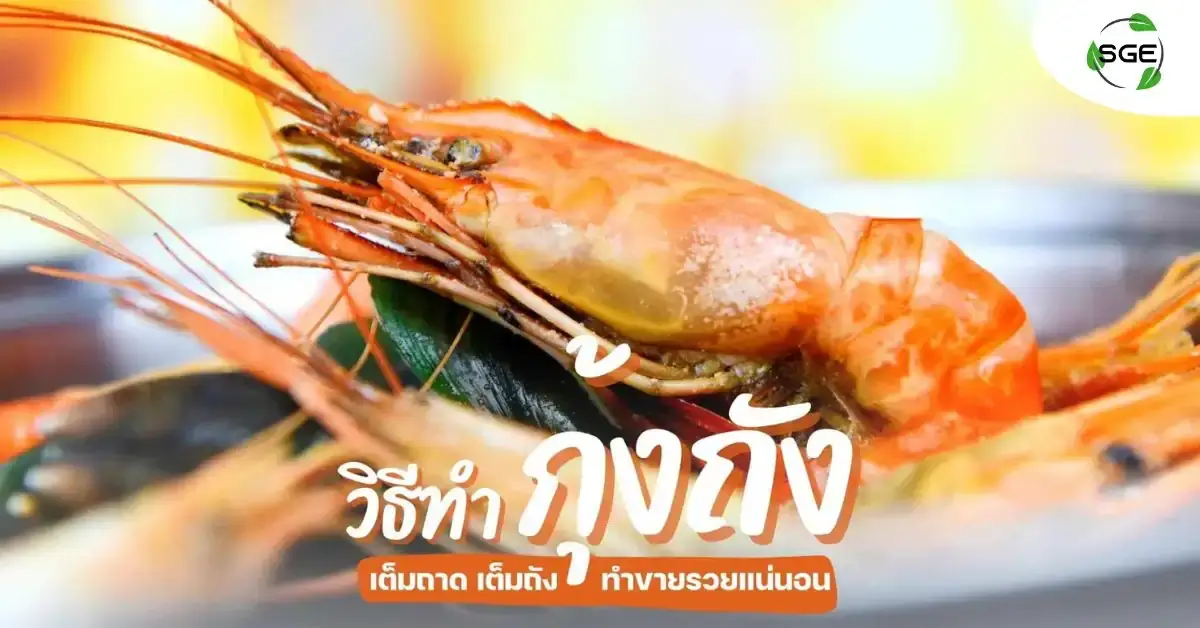 กุ้งถัง