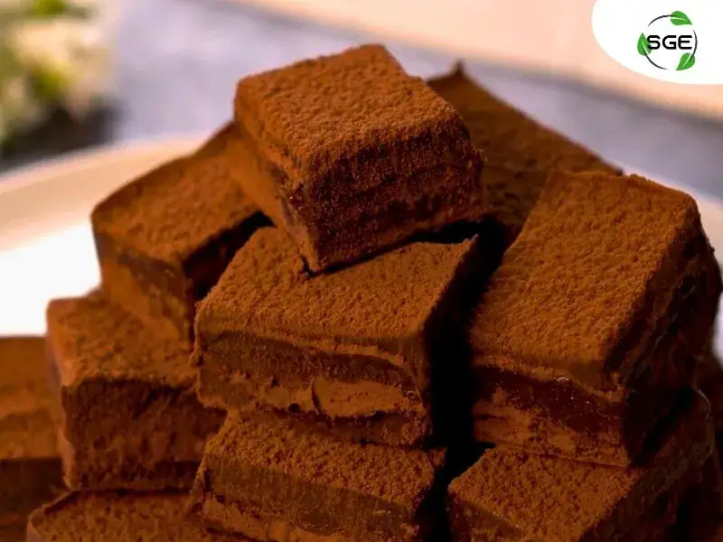 อาหารญี่ปุ่น-namachocolate-038