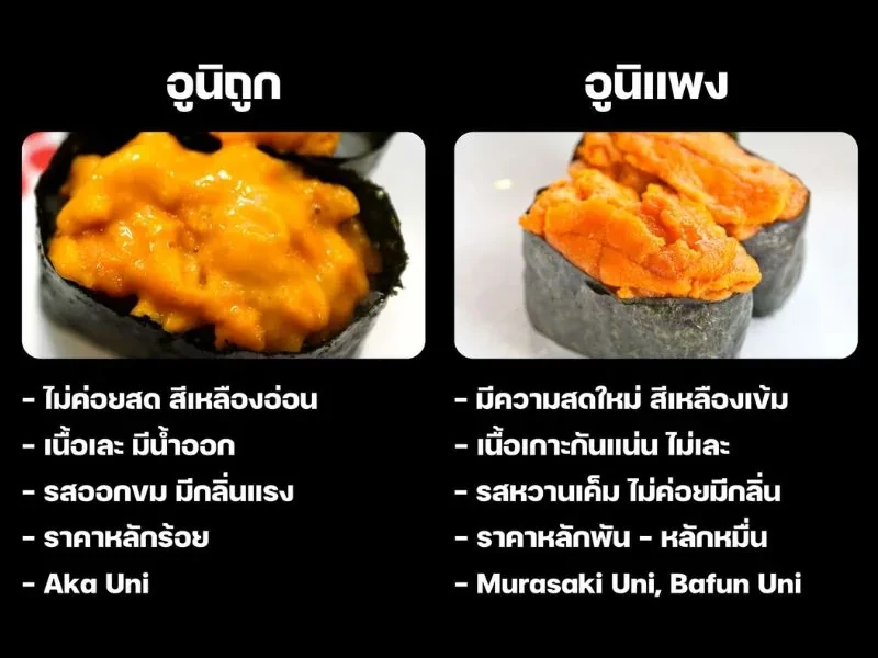 ไข่หอยเม่น