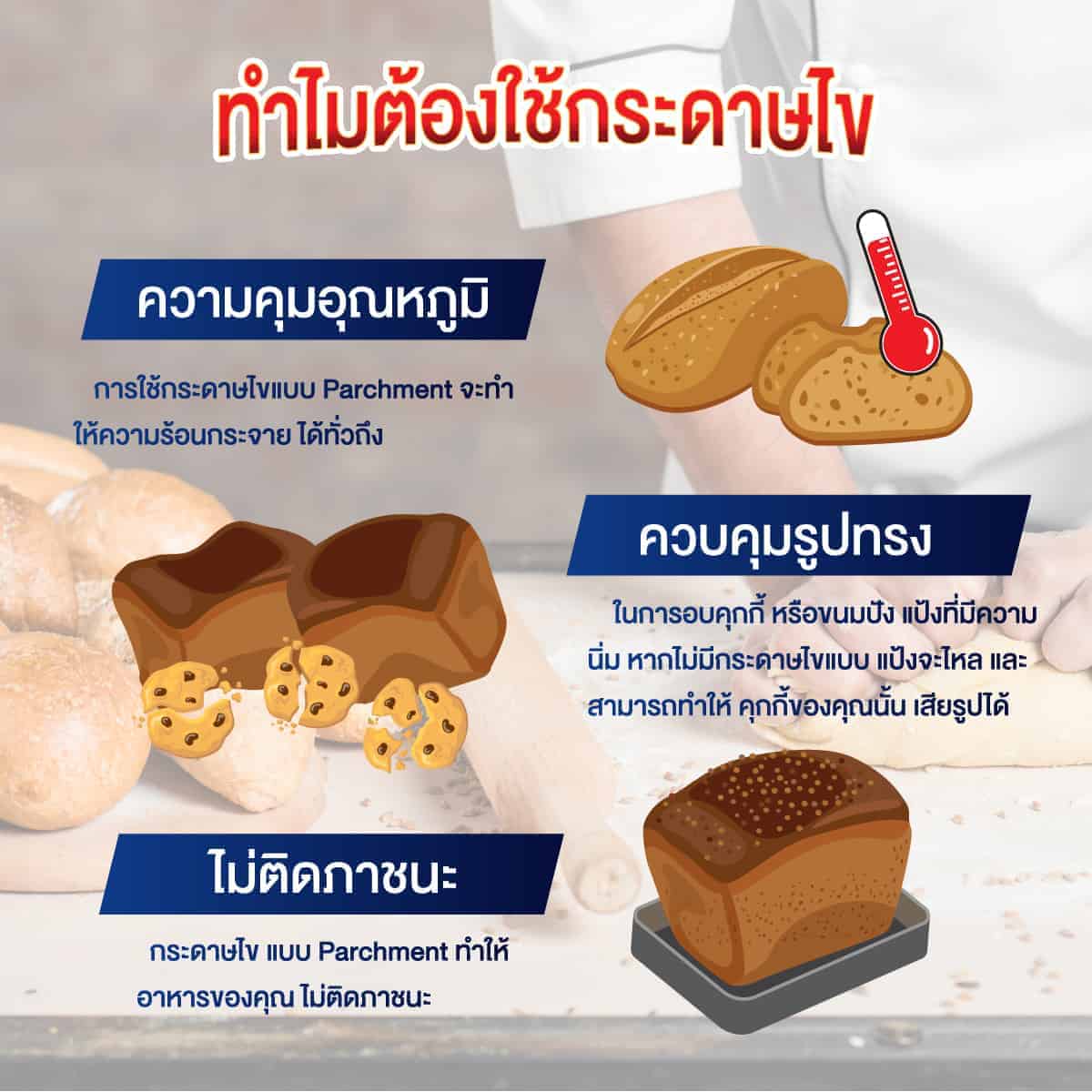 info-graphic-กระดาษไข01 กระดาษไขรองอบ กระดาษอบขนม ทำไมต้องใช้กระดาษไข