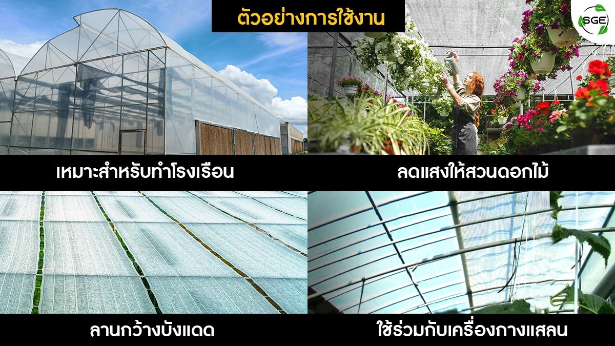 สแลนสีขาว ประโยชน์ใช้งานจริง-_22