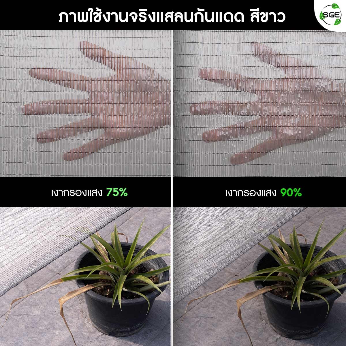 สแลนสีขาวเทสแสง_21