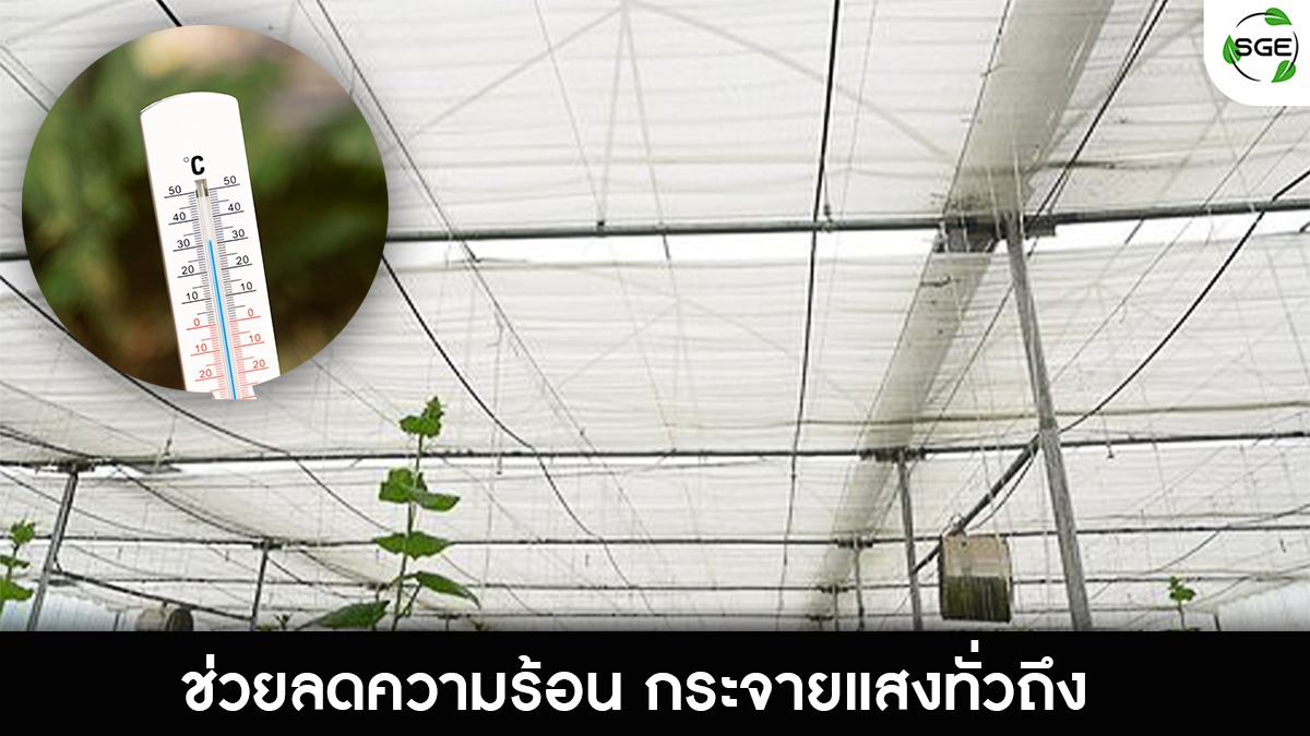 สแลนสีขาว-ฟีเจอร์ลดความร้อน_34