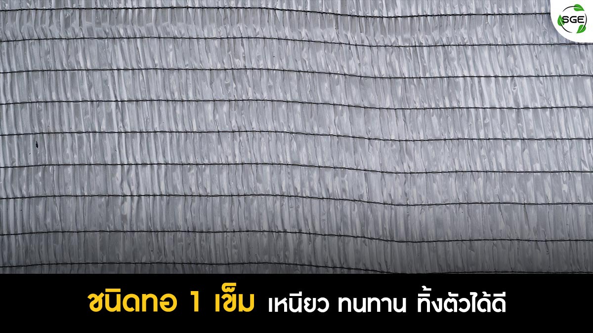 สแลนสีขาวสรรพคุณ---Copy