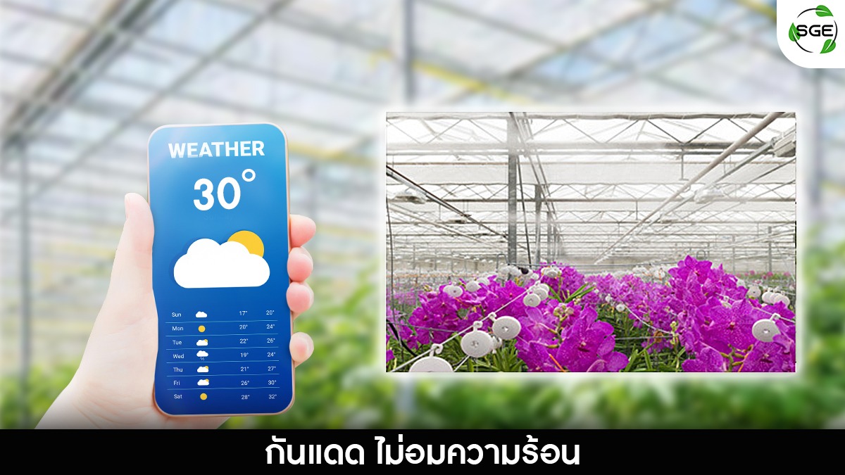 สแลนกันแดดอลูมิเนต ใช้งานจริง2_13