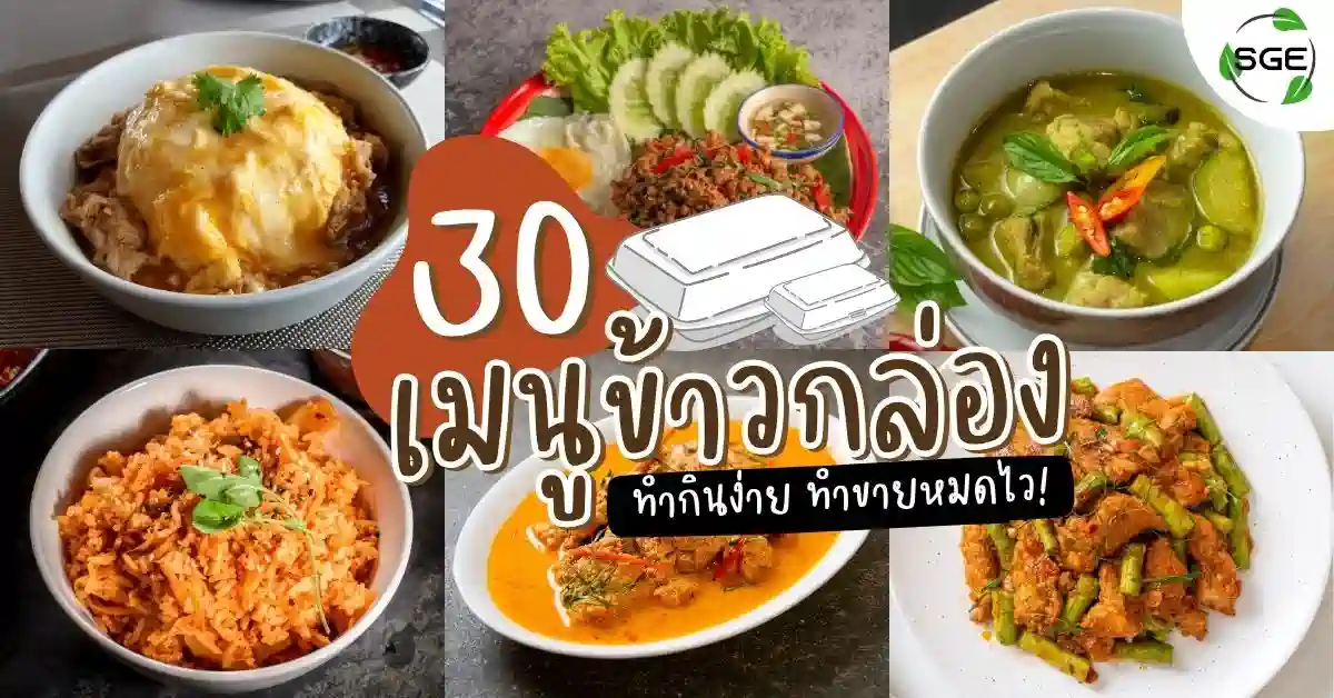 30 เมนูข้าวกล่อง ยอดฮิต สูตรทำง่าย ขายดี รับกำไรปัง ๆ