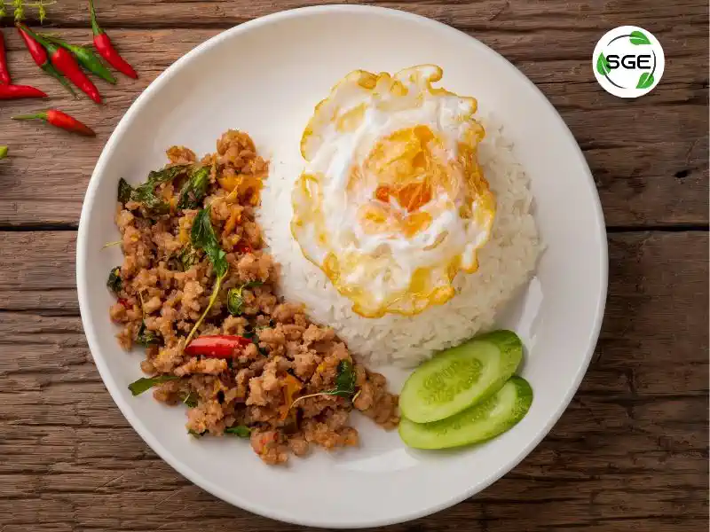 เมนูข้าวกล่อง รวม 10 สูตร เมนูกะเพรา รสเด็ด เผ็ดอร่อย ทำง่าย ไม่จำเจ