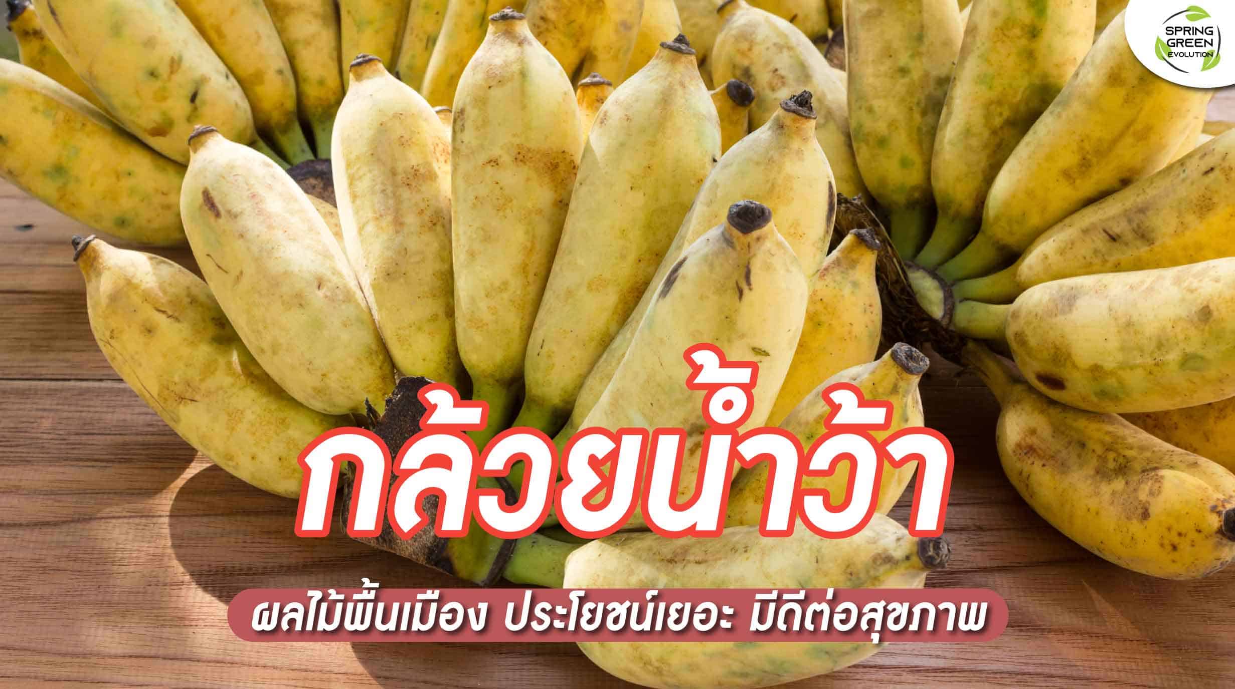 220722-Content-กล้วยน้ำว้า-ผลไม้ไทย-01