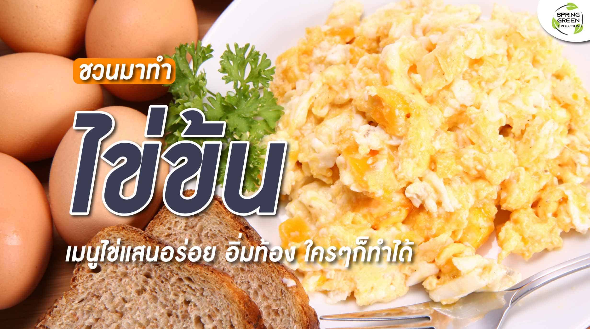 5 สูตร วิธีทำไข่ข้น เมนูไข่ทำง่าย รสชาติดี ใครๆก็ทำได้ - SGETHAI 5 สูตร วิธีทำไข่ข้น เมนูไข่ทำง่าย รสชาติดี ใครๆก็ทำได้ - Sgethai