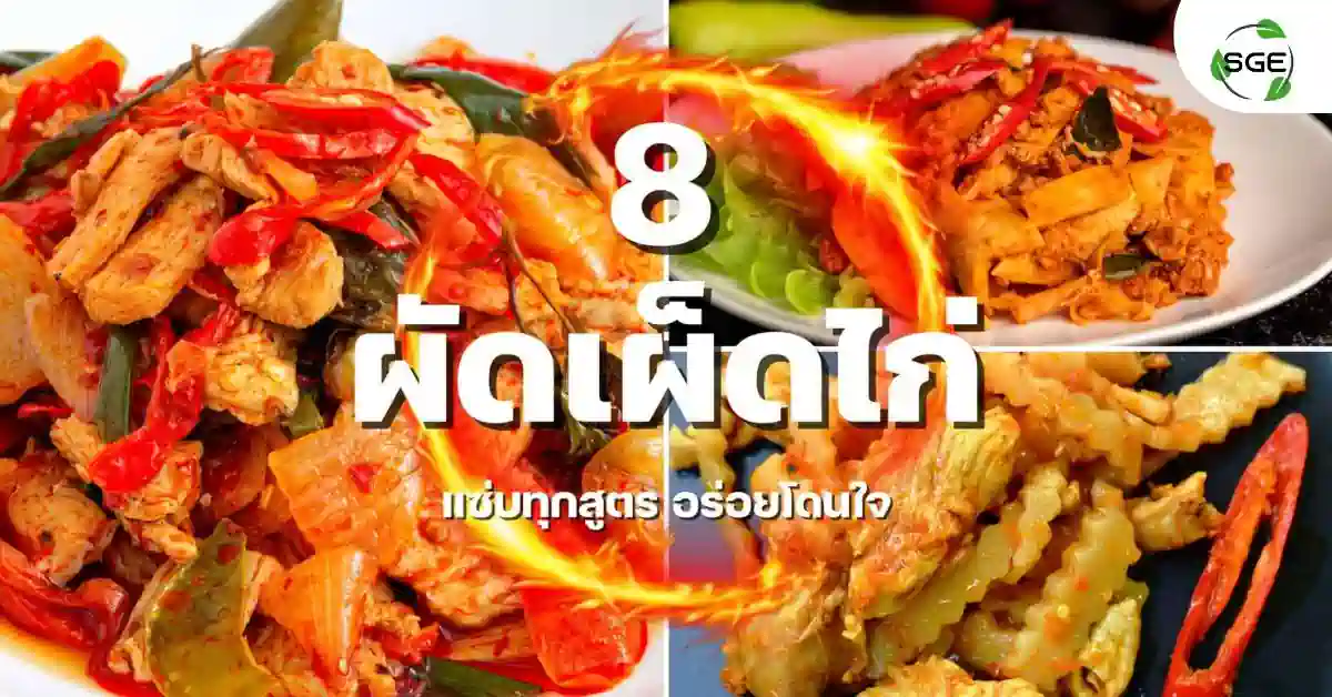 ผัดเผ็ดไก่