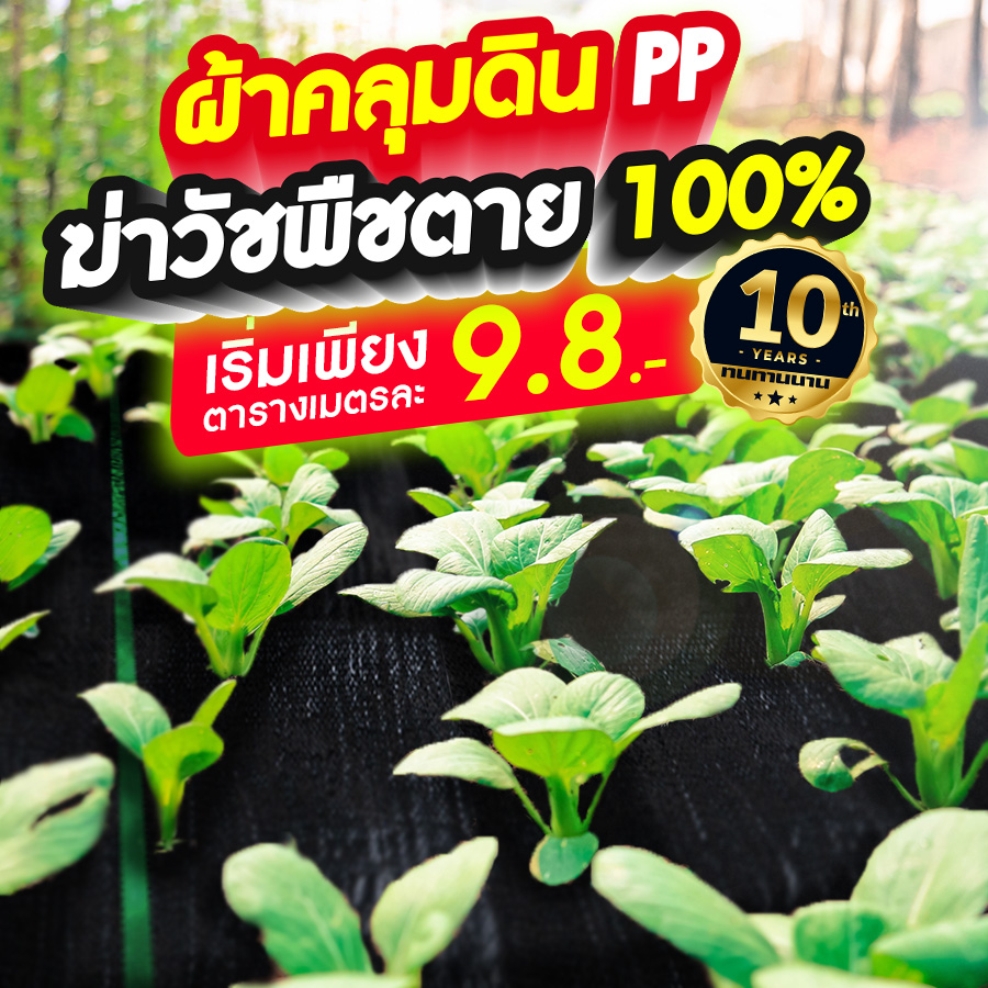 PP01-ผ้าคลุมดิน