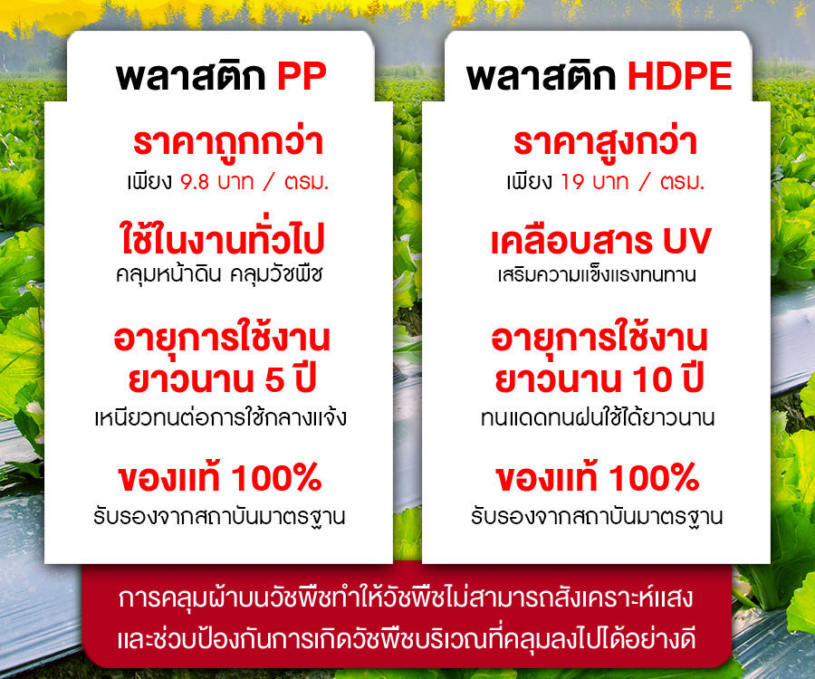 PP02-ผ้าคลุมดิน