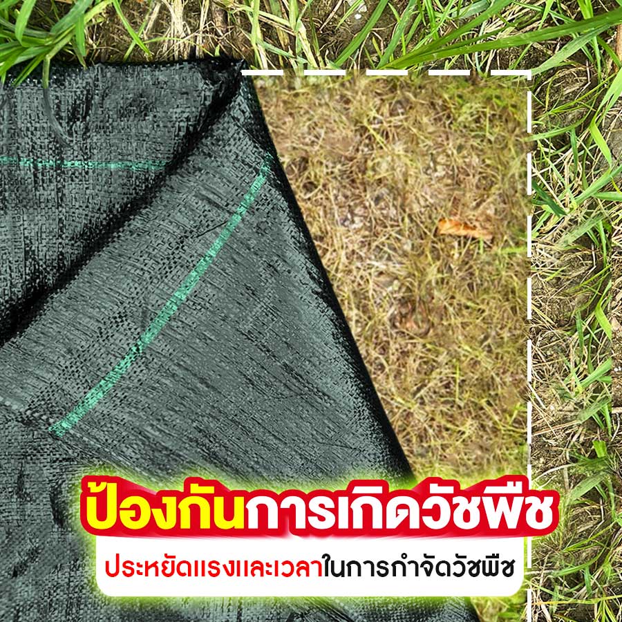 สแลนกันแดด สแลนสีขาว ตาข่ายกรองแสง