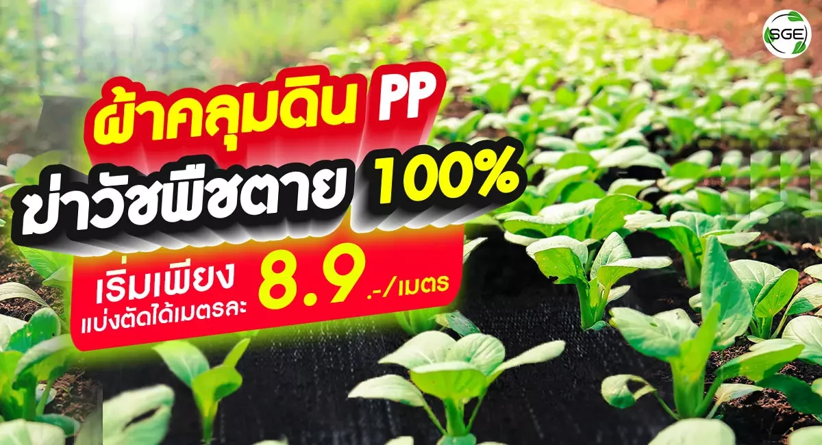 ผ้าคลุมดิน-PP---หน้าปก