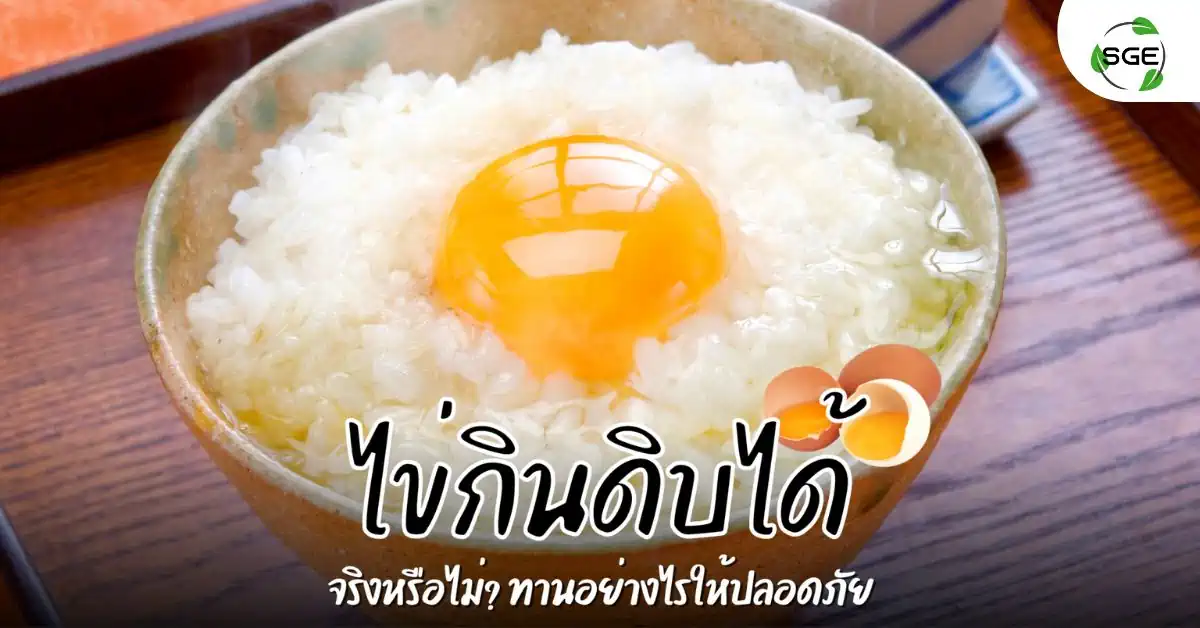 ไข่กินดิบได้