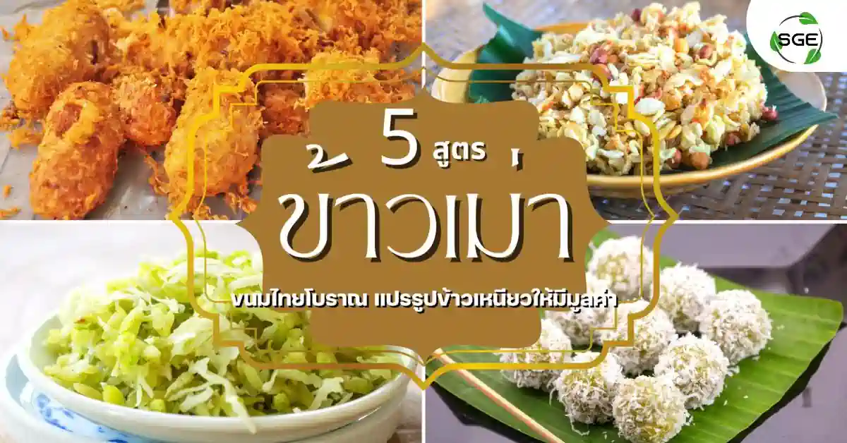 ข้าวเม่า