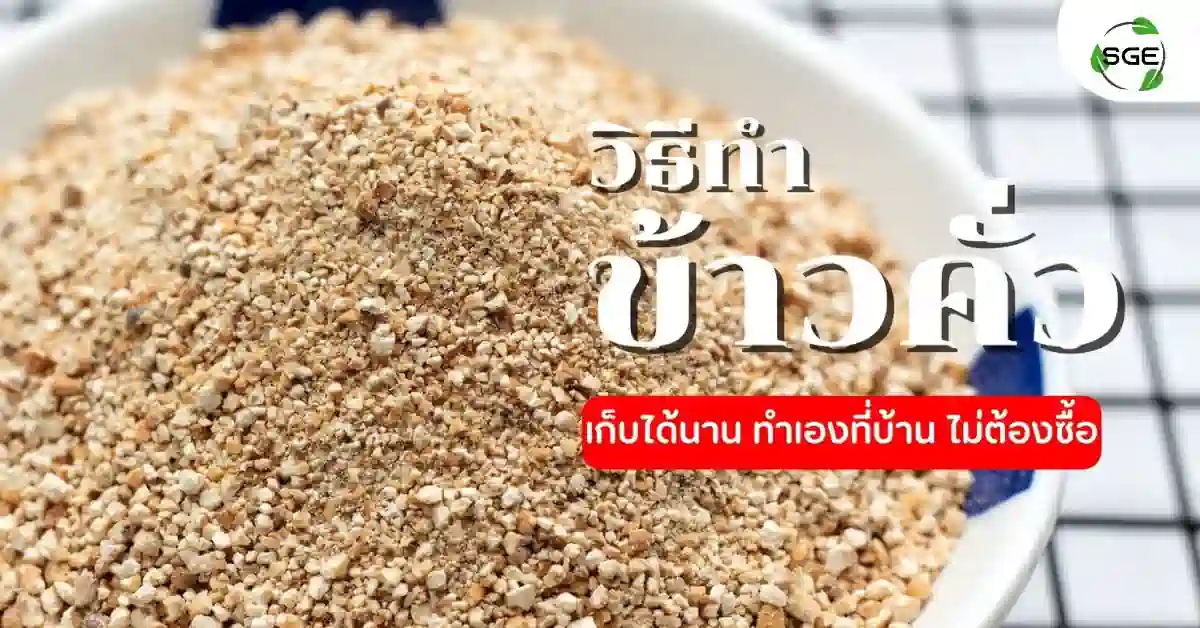 ข้าวคั่ว