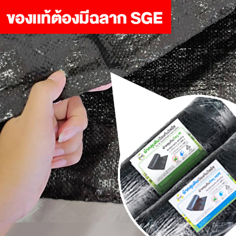banner-เเท้ปลอม-01