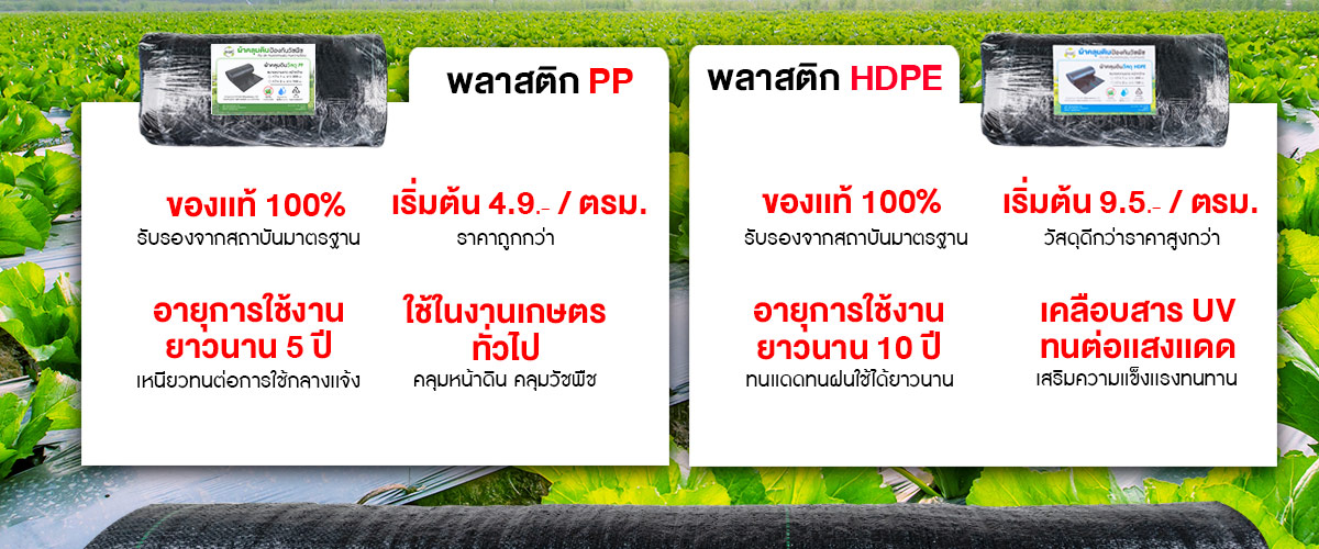 เปรียบเทียบ