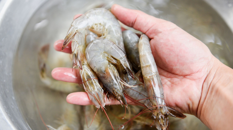 วิธีทำกุ้งดองซีอิ๊ว