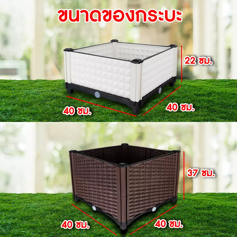 กระบะปลูกผักสวนครัวขนาด