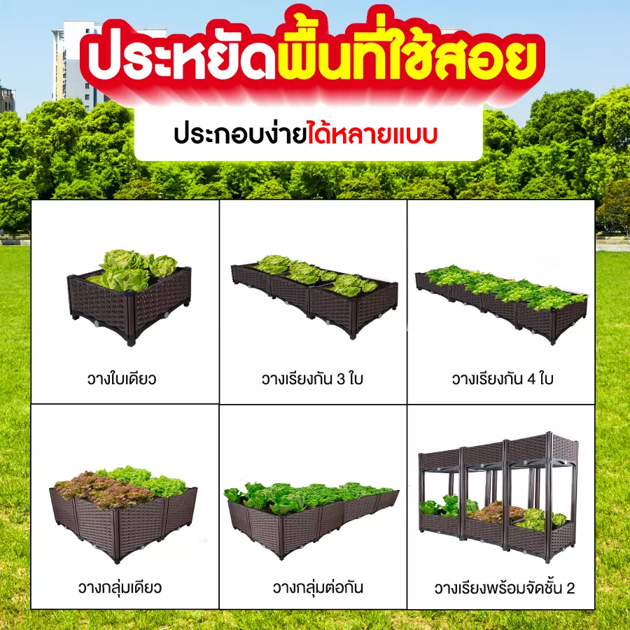 กระบะปลูกผักสวนครัวประหยัดพื้นที่