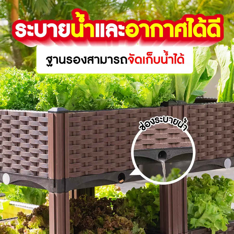 กระบะปลูกผักสวนครัวระบายน้ำ