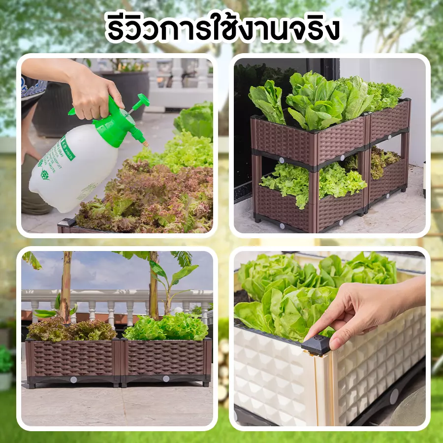 กระบะปลูกผักสวนครัวรีวิว