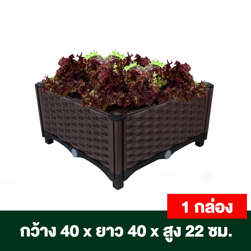 กระบะปลูกผักสวนครัว ขนาด 40x40x22 ซม.