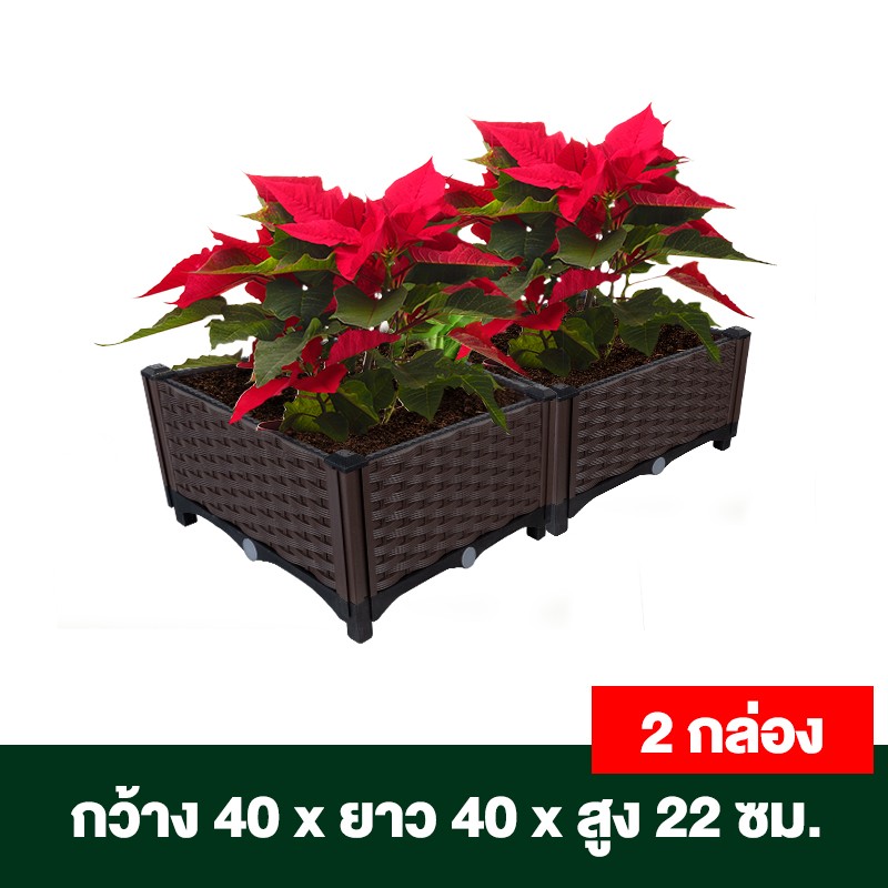 กระบะปลูกผักสวนครัว ขนาด 40x40x22 ซม.