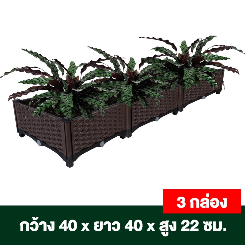 กระบะปลูกผักสวนครัว ขนาด 40x40x22 ซม.