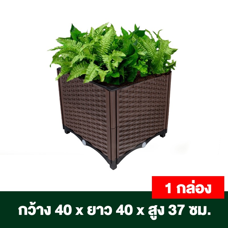 กระบะปลูกผักสวนครัว ขนาด 40x40x22 ซม.