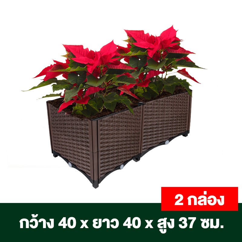 กระบะปลูกผักสวนครัว ขนาด 40x40x22 ซม.
