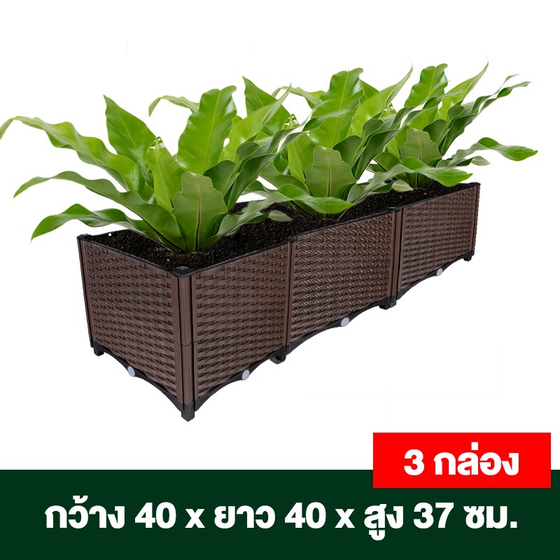 กระบะปลูกผักสวนครัว ขนาด 40x40x22 ซม.