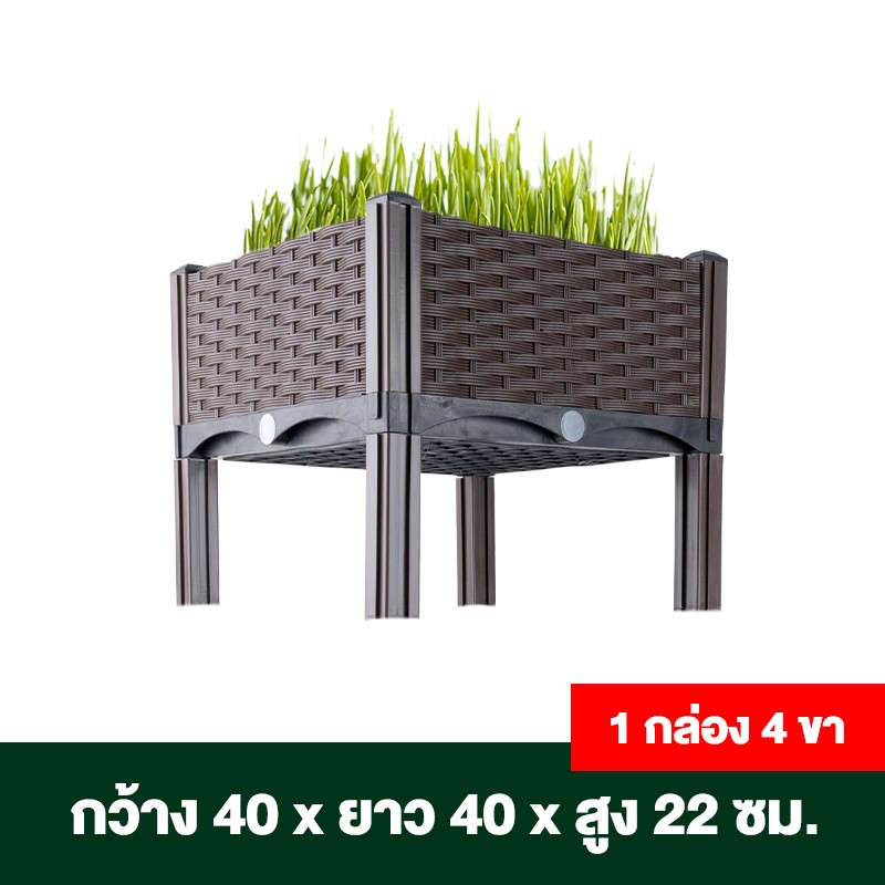 กระบะปลูกผักสวนครัว ขนาด 40x40x22 ซม.