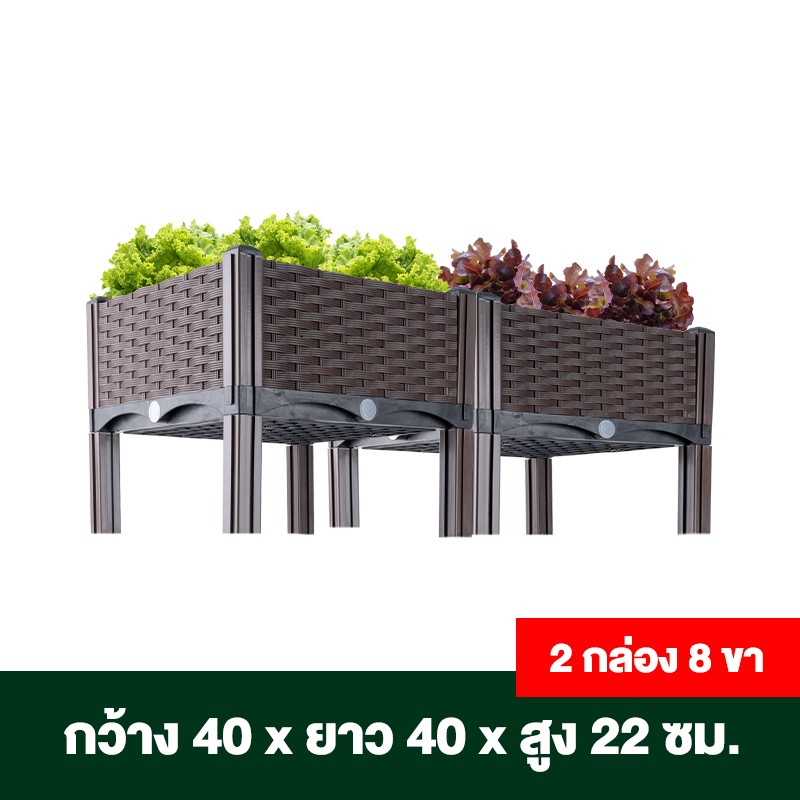 กระบะปลูกผักสวนครัว ขนาด 40x40x22 ซม.