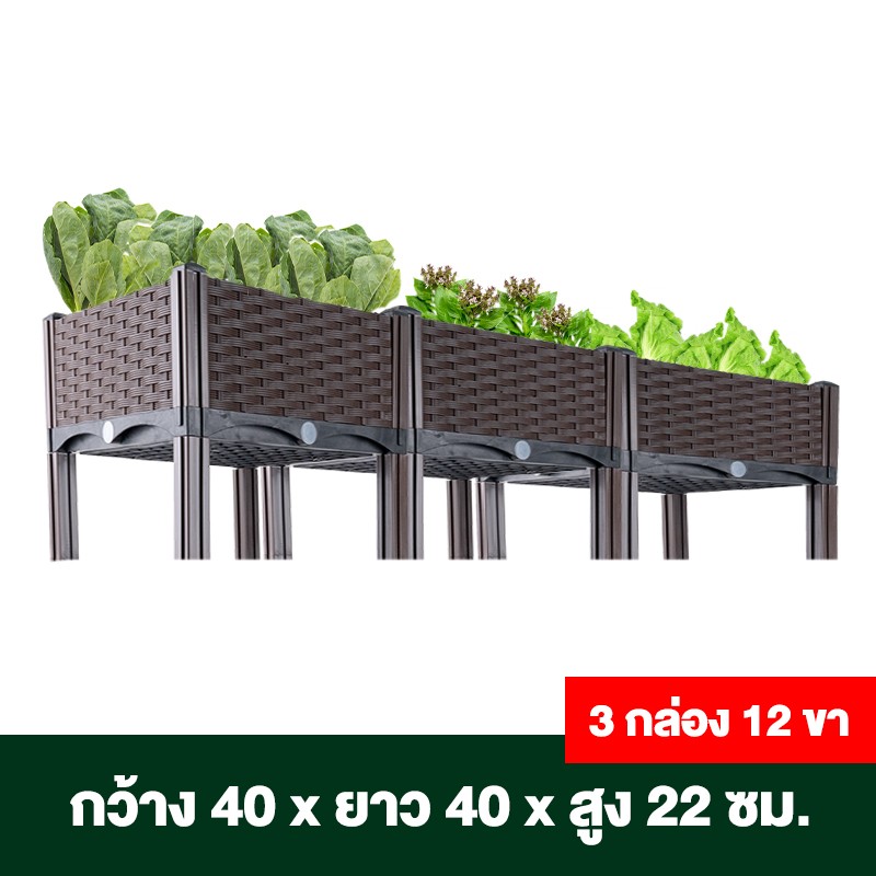 กระบะปลูกผักสวนครัว ขนาด 40x40x22 ซม.