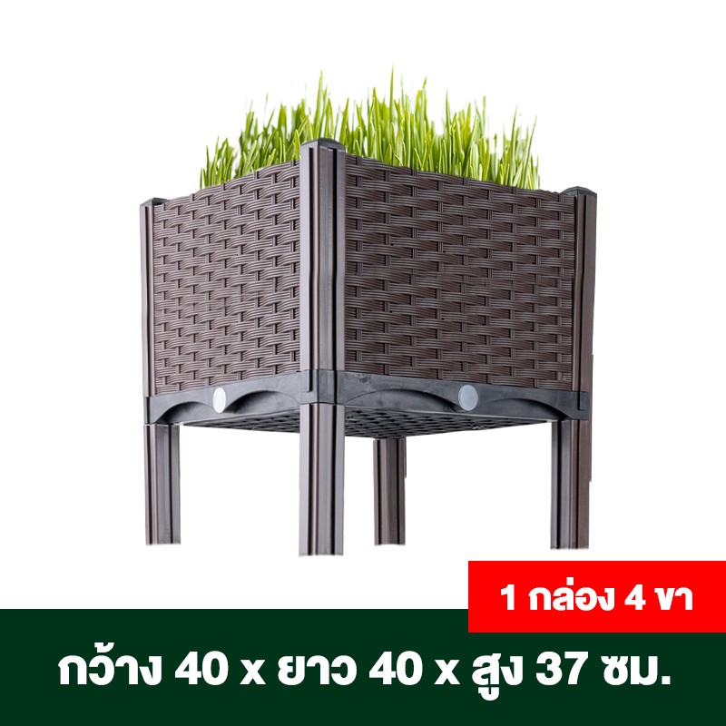 กระบะปลูกผักสวนครัว ขนาด 40x40x22 ซม.