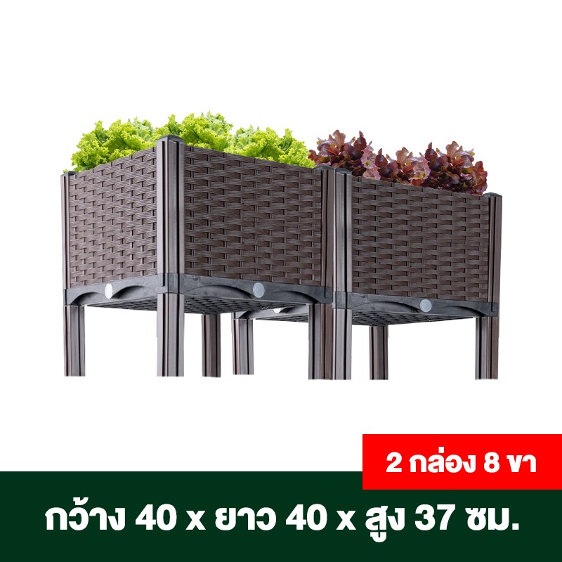กระบะปลูกผักสวนครัว ขนาด 40x40x22 ซม.