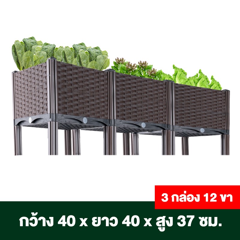 กระบะปลูกผักสวนครัว ขนาด 40x40x22 ซม.