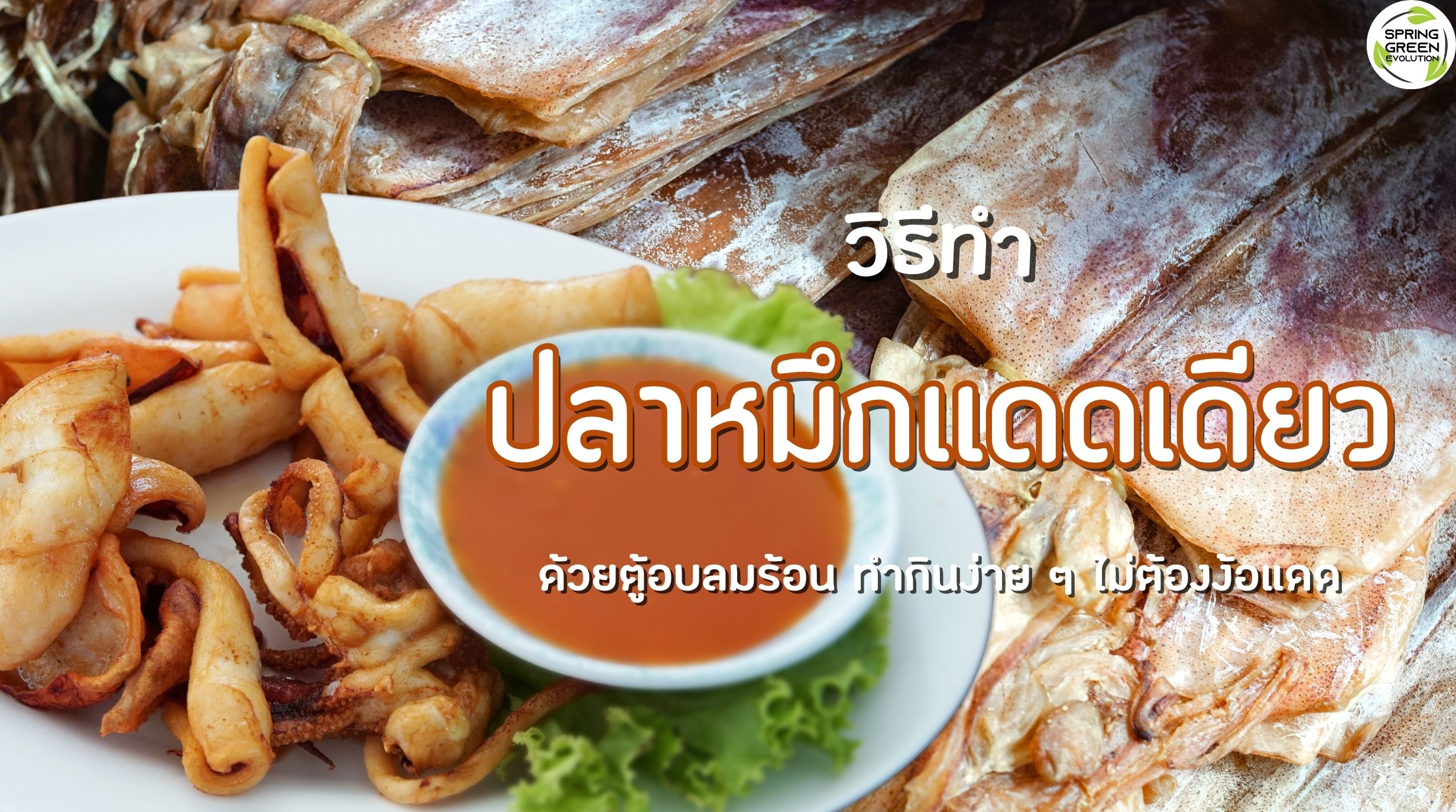 ปลาหมึกแดดเดียว