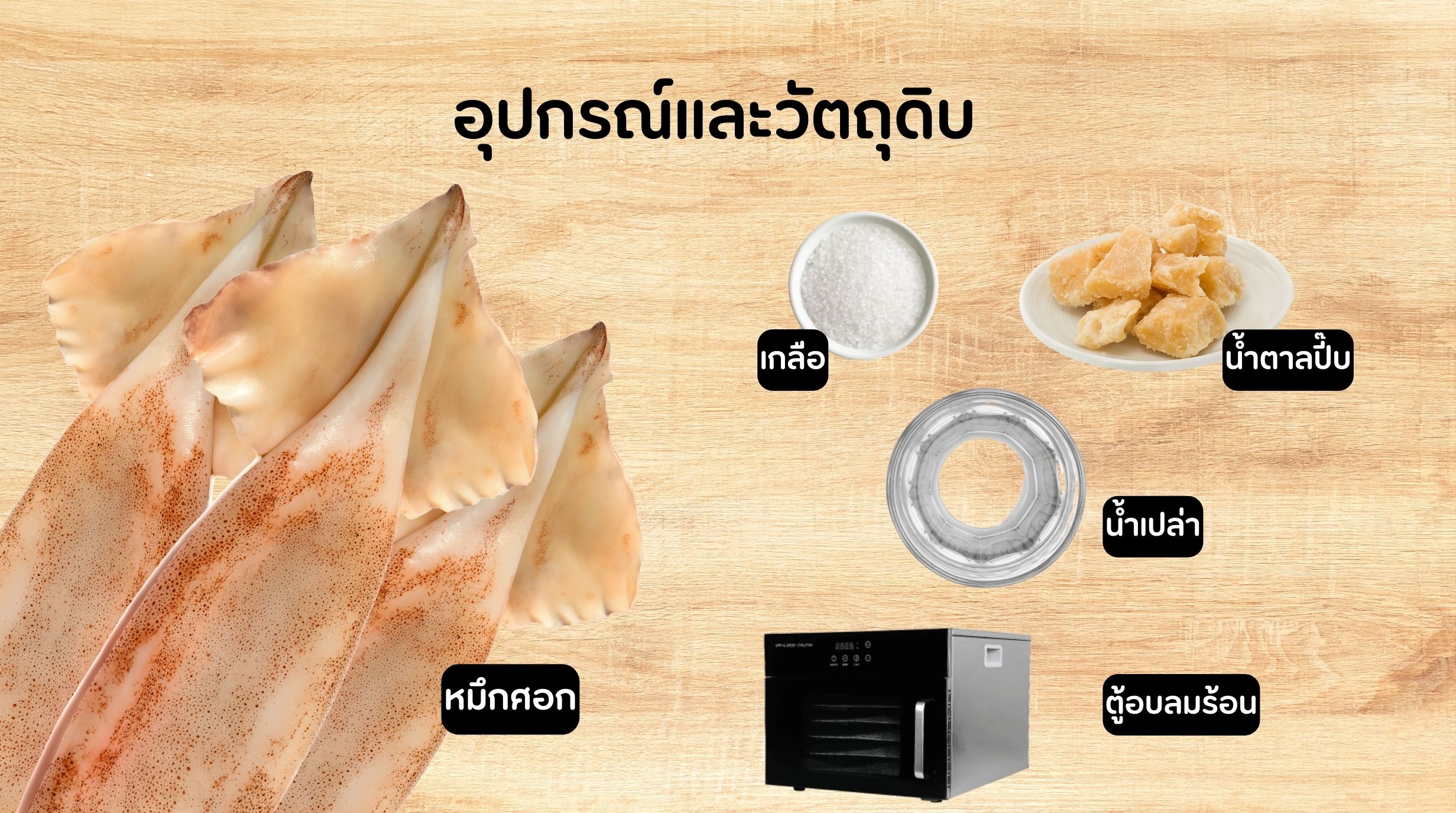 ปลาหมึกแดดเดียว