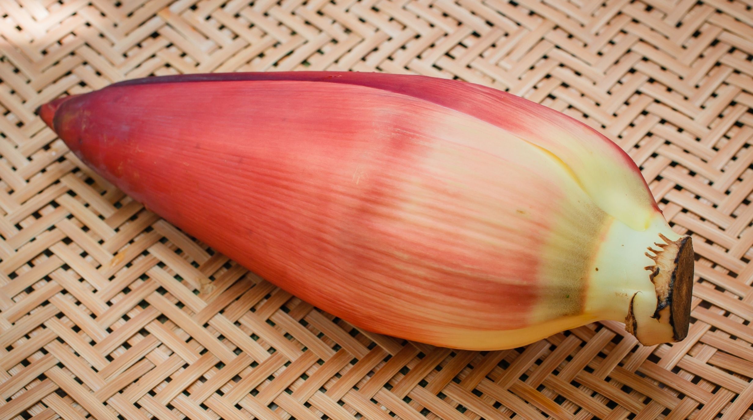 หัวปลี