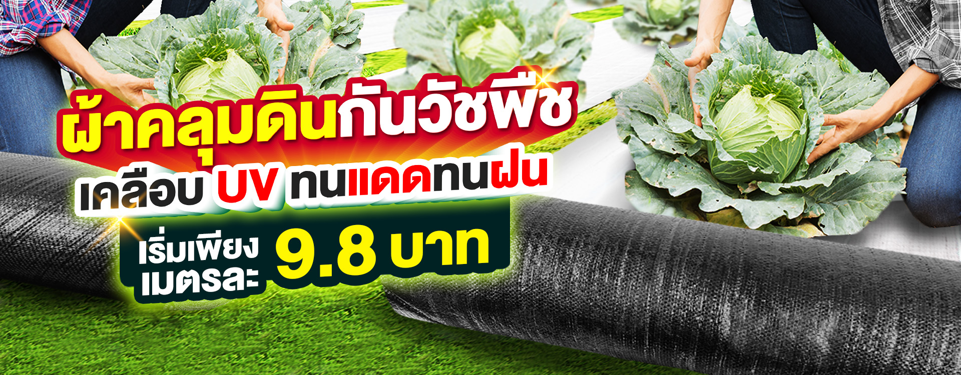 banner-ผ้าคลุมดิน banner-ผ้าคลุมดิน