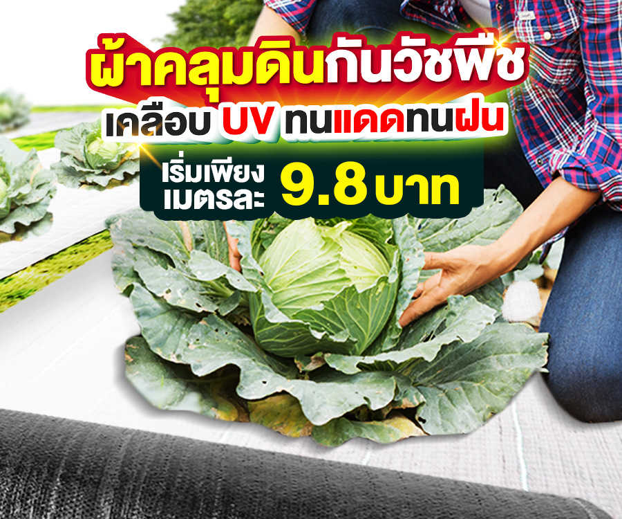 banner-ผ้าคลุมดิน-mb banner-ผ้าคลุมดิน-mb
