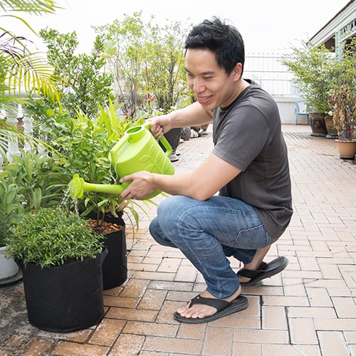 กระถางต้นไม้-รูป11