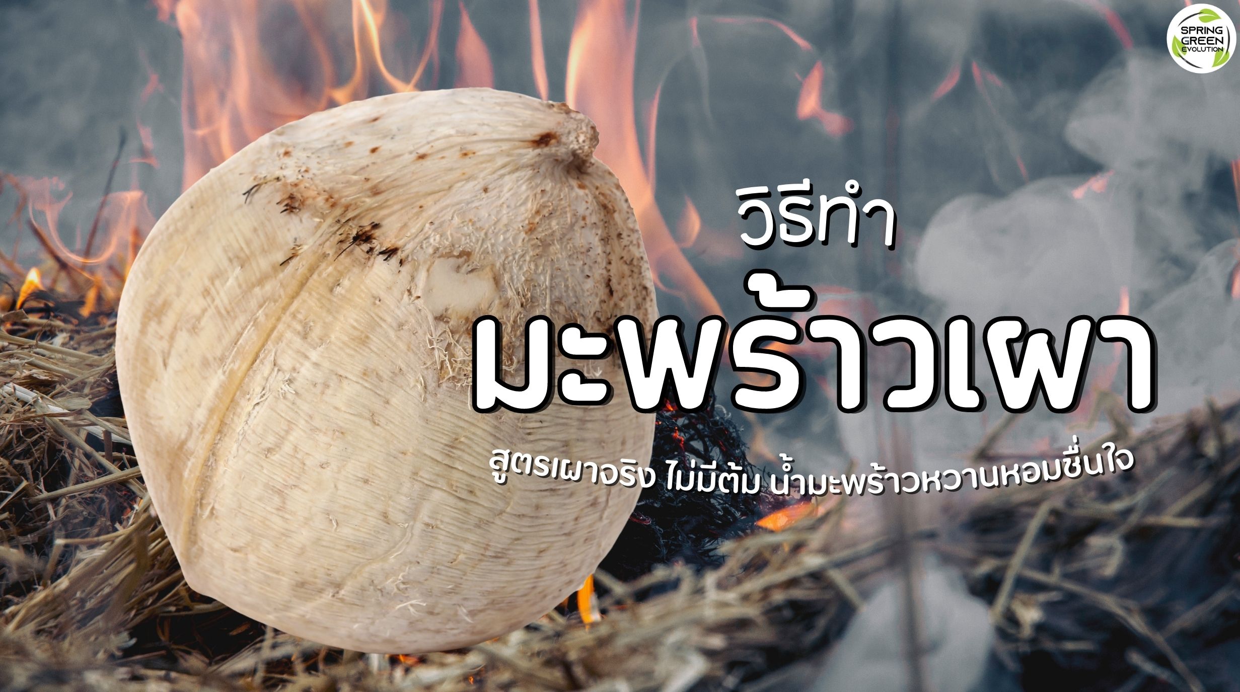 2 มะพร้าวเผา